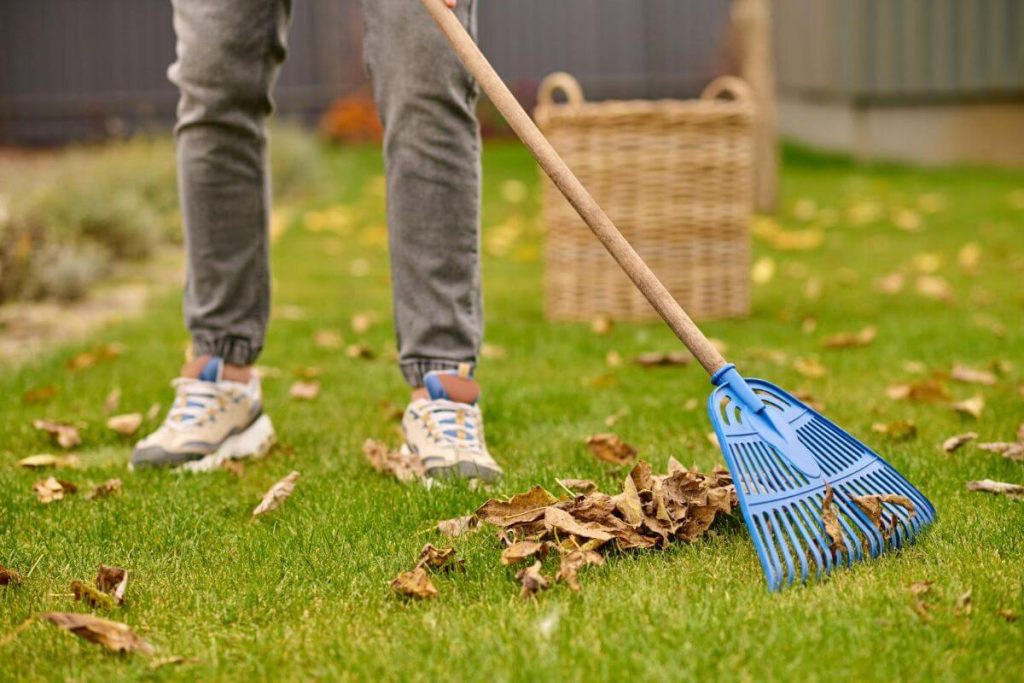 Mantenimiento de Jardines 2