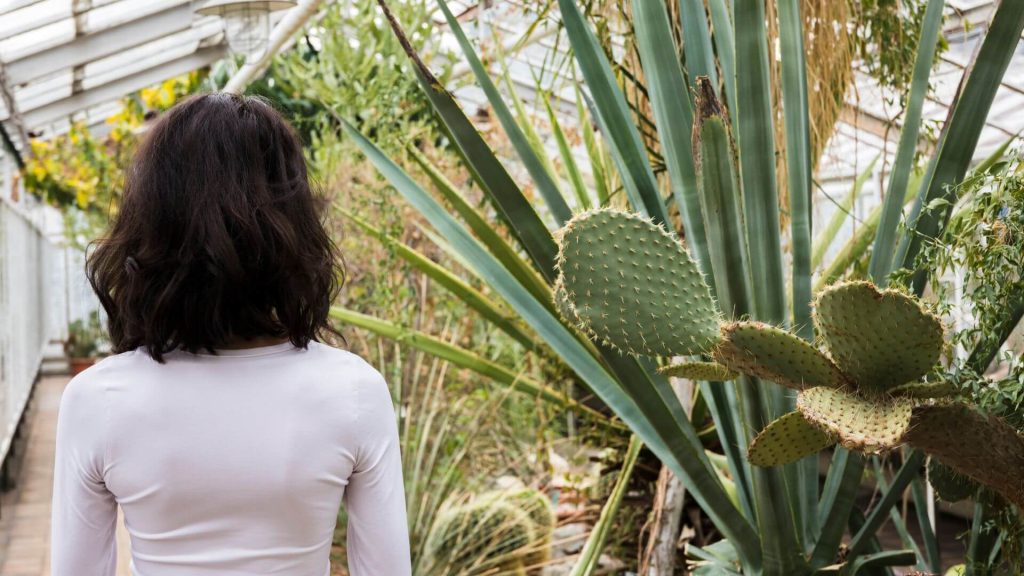 Jardines Sostenibles 2