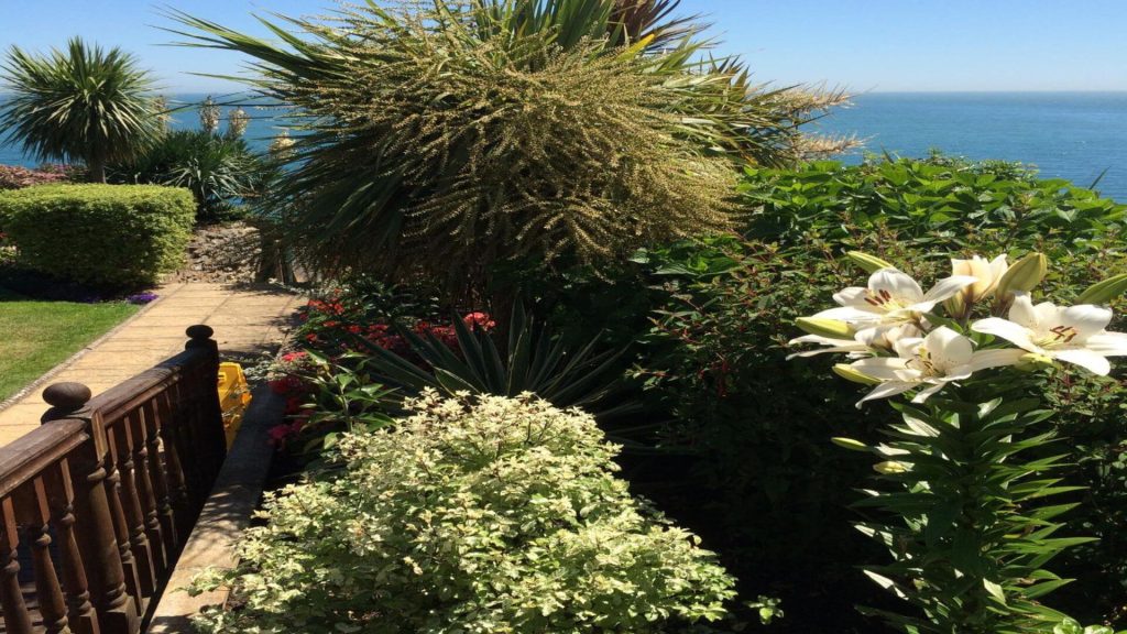 Disseny de jardins moderns 1