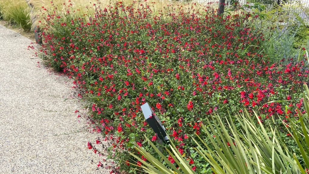 Disseny de jardins moderns 3