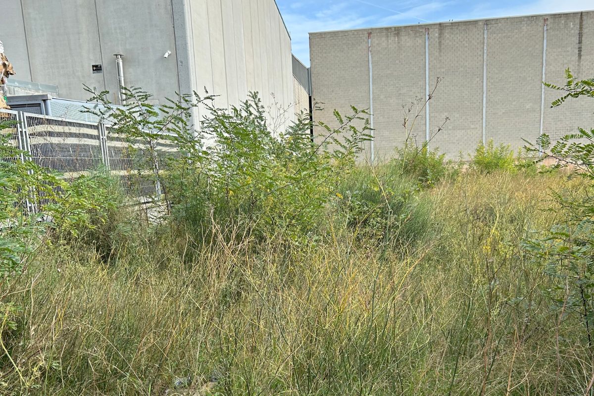 Desbroce de parcelas Pratenc