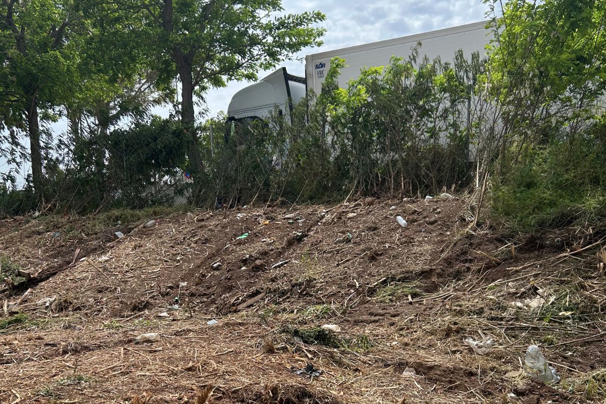 Desbroce de parcelas Pratenc