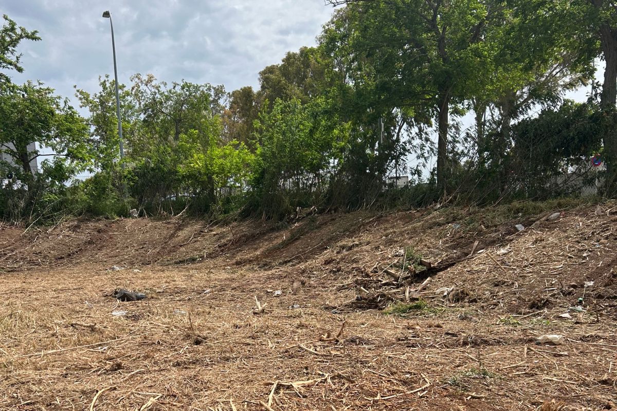 Desbroce de parcelas Pratenc