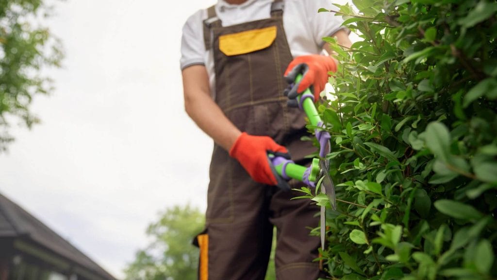 Mantenimiento de jardines