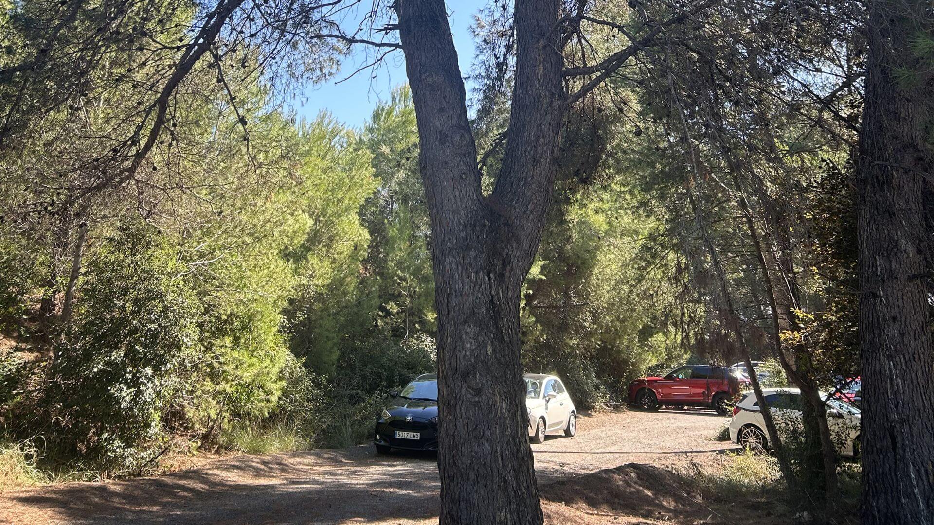 Tala de pinos en Sant Cugat