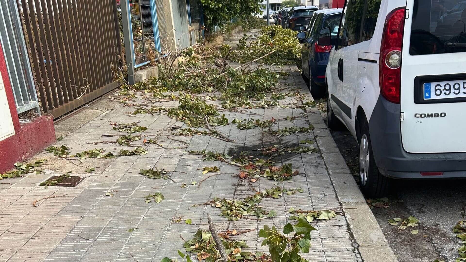 Retirada árbol caído por temporal