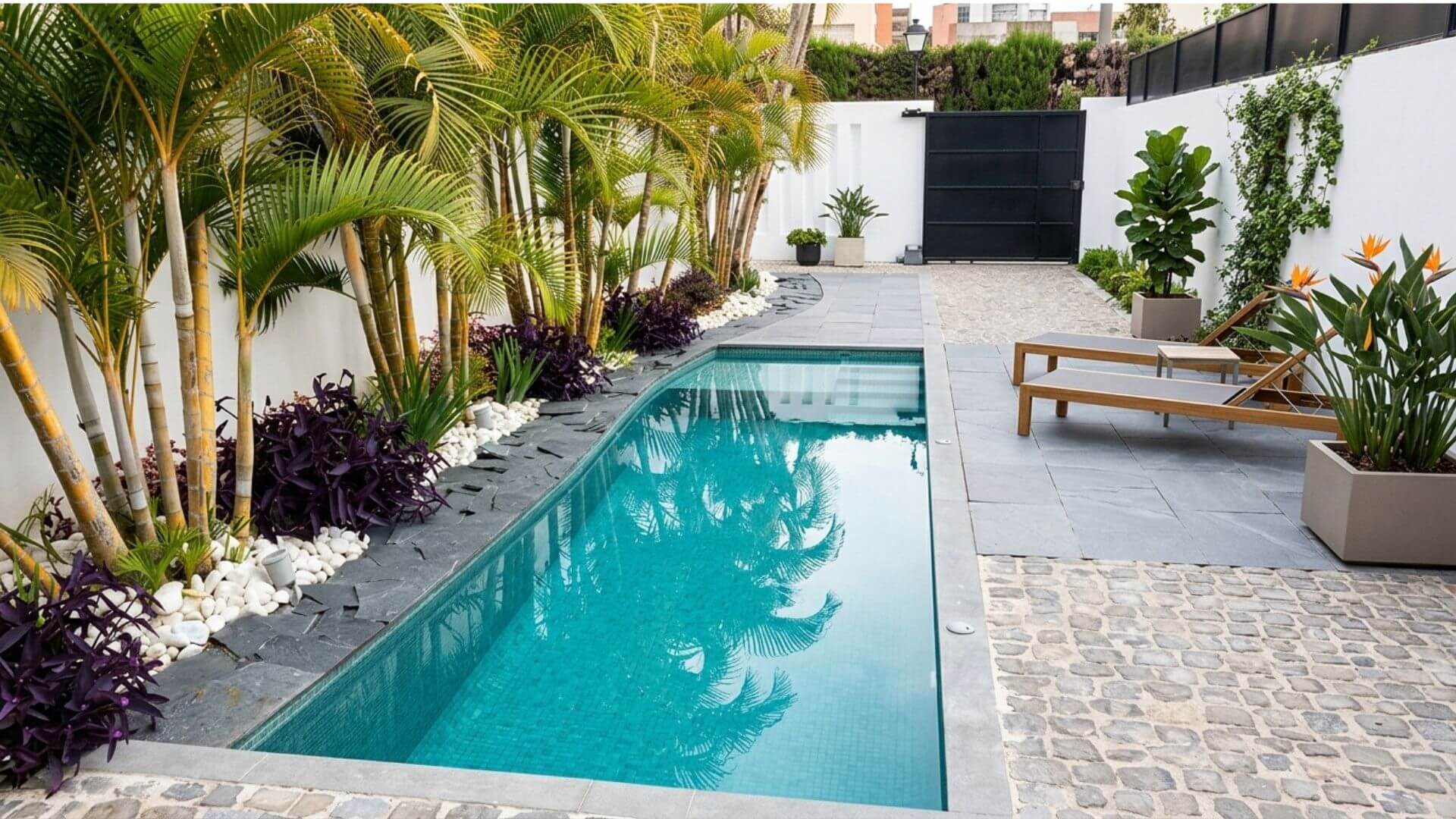 Plantas de exterior