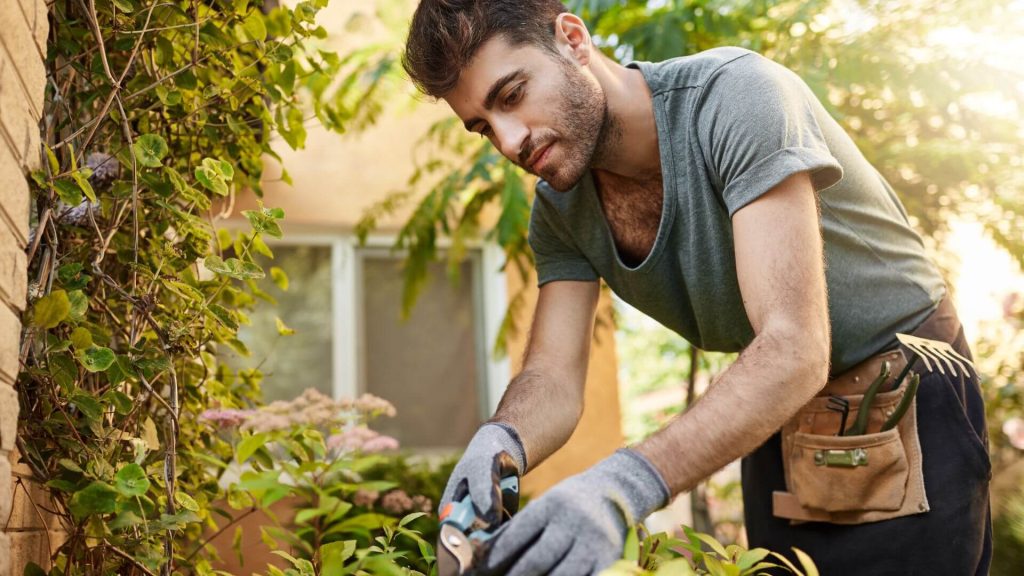 Construir jardines