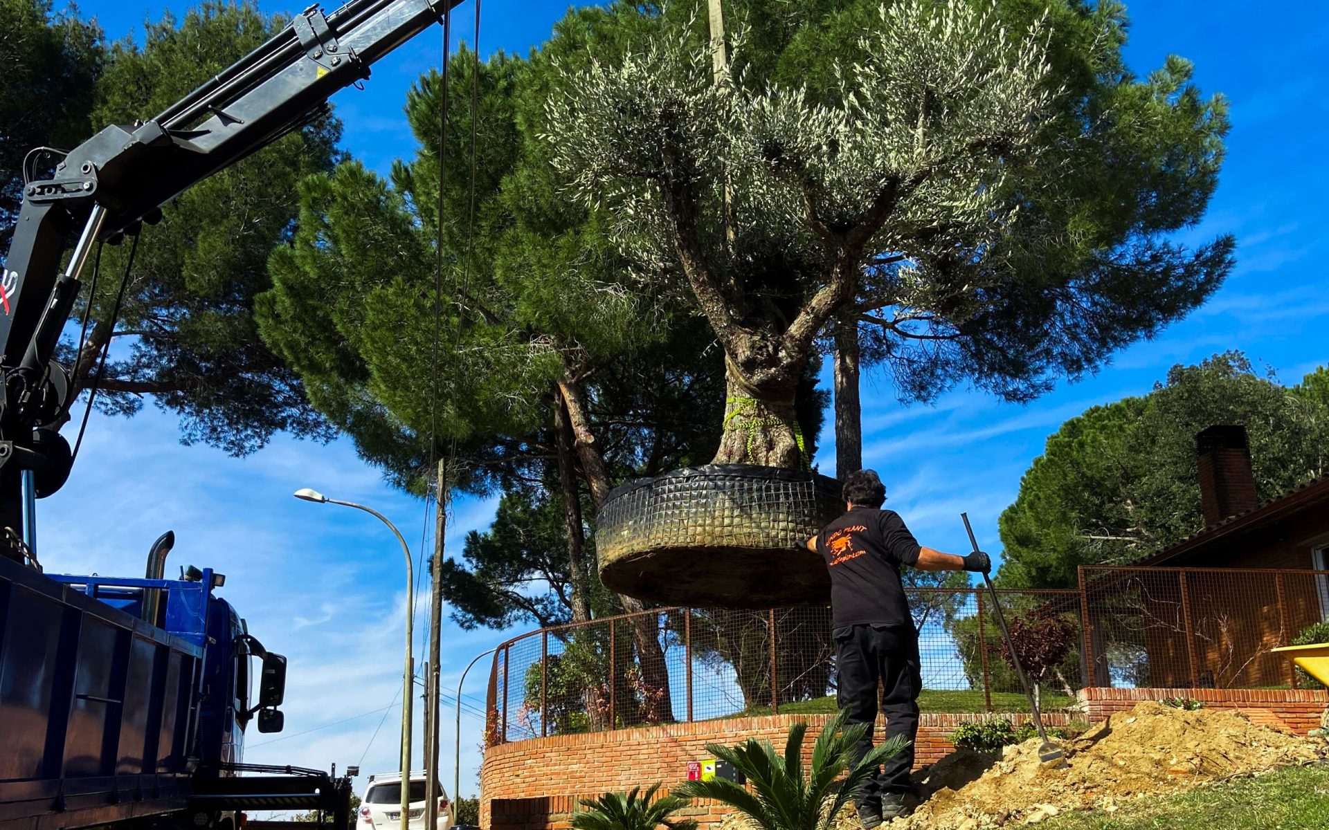 Construcción de jardines en Bellaterra 2