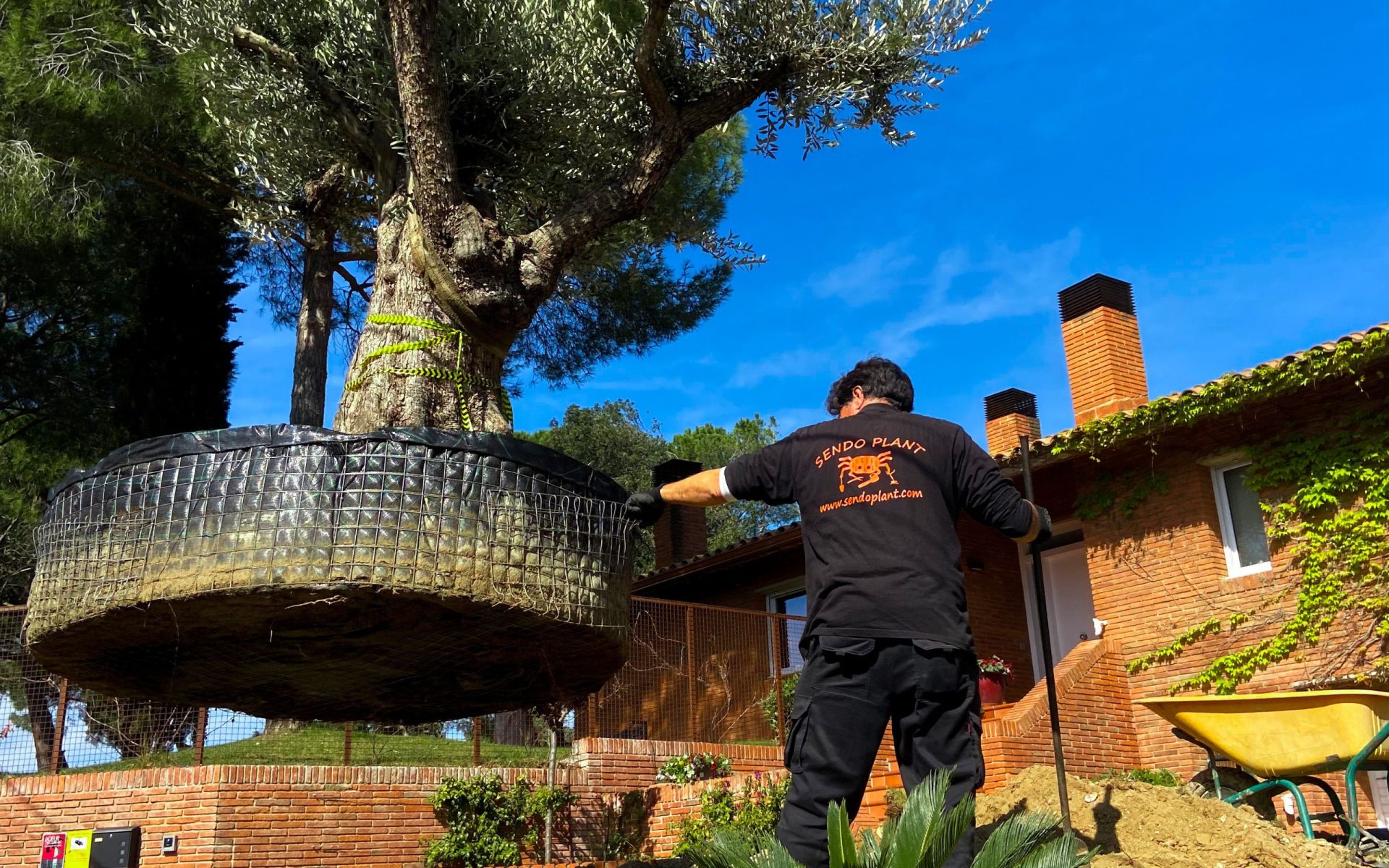 Construcción de jardines en Bellaterra 3