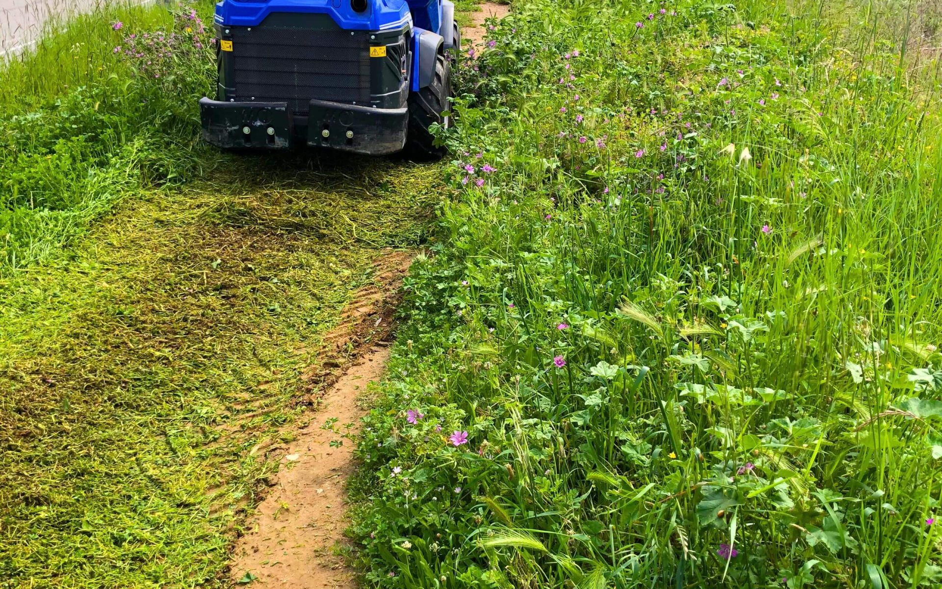 Desbroce de Parcelas con Multione 1