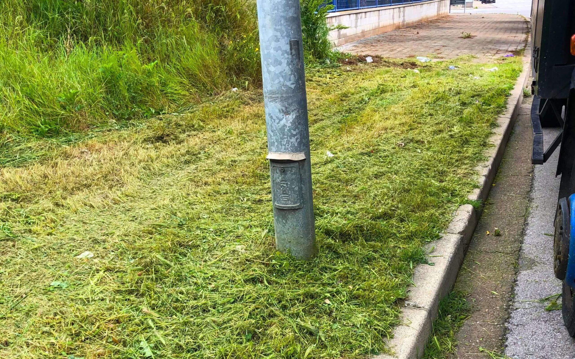 Desbroce de Parcelas con Multione 2