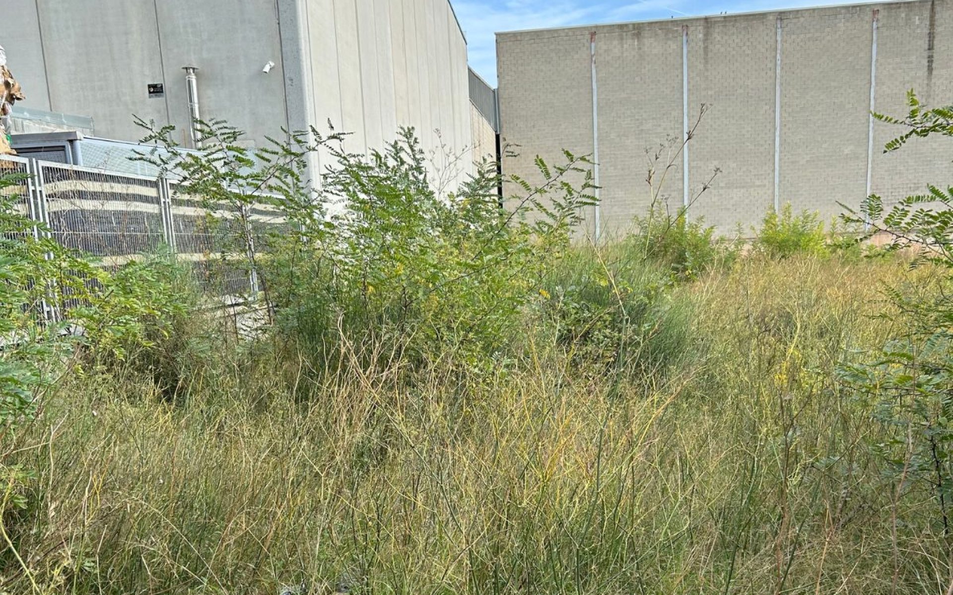 Desbroce de parcelas Pratenc