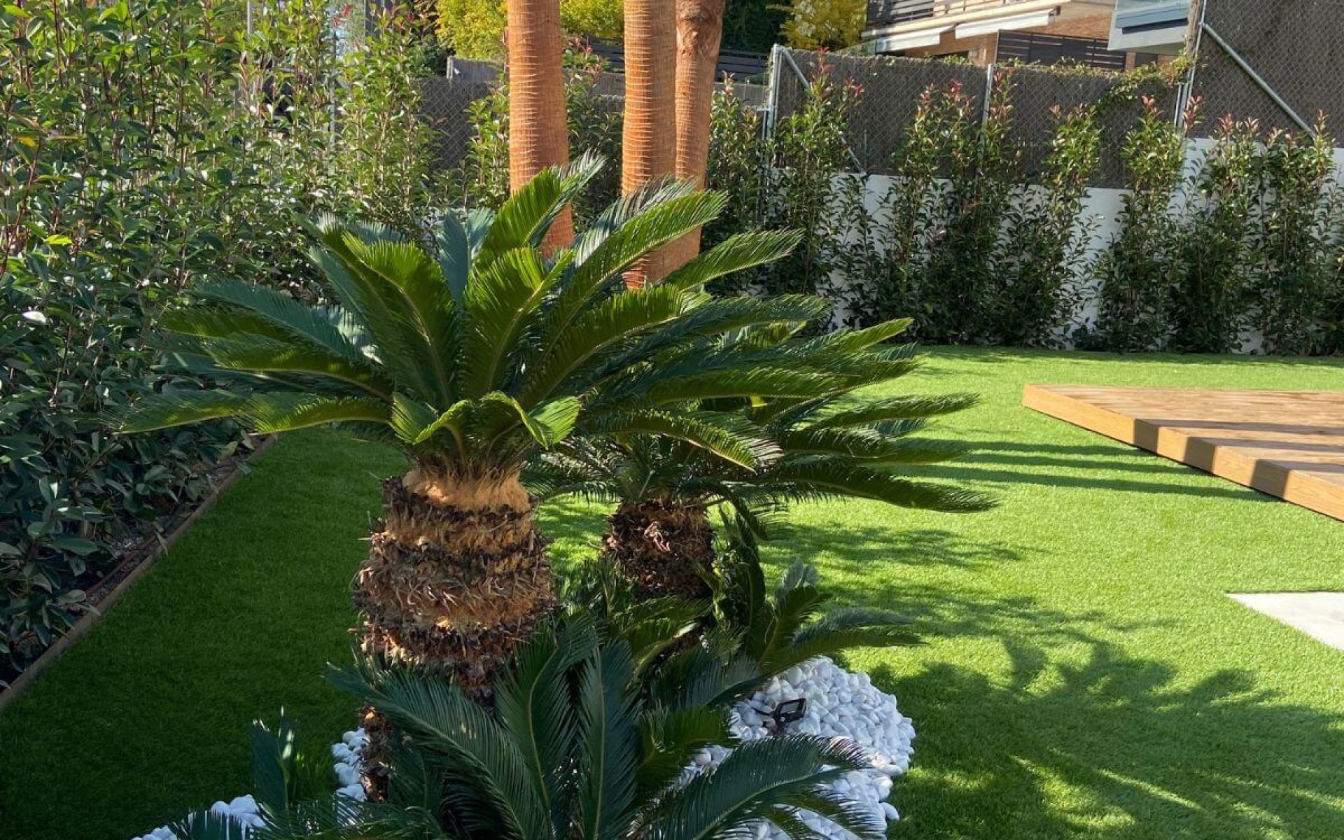 Plantación en Sant Cugat 5